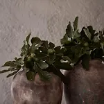 Nomad Mykonos - Small Luxury Of The World Hotell